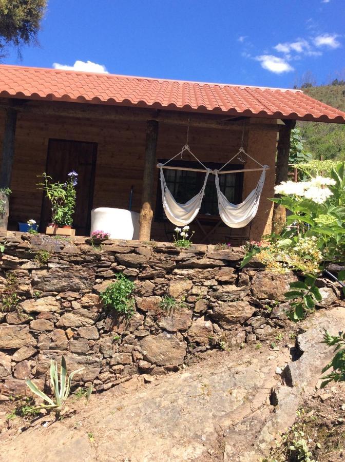 Unique Tiny House With Natural Building Techniques Figueiro Dos Vinhos Exterior foto